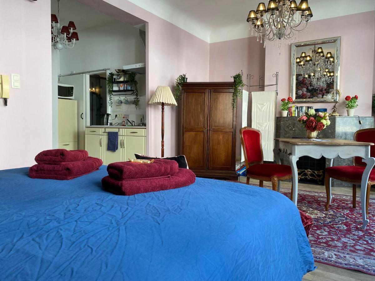 The Pink Studio - Exceptional Location In City Center - Unique & Elegant Lägenhet Namur Exteriör bild